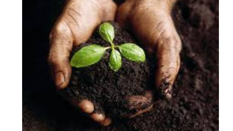 Picture for: Backyard Composting (Washburn at Las Estrellas)