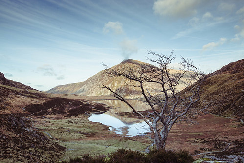 Picture for: Backpacking (Ella Baker)