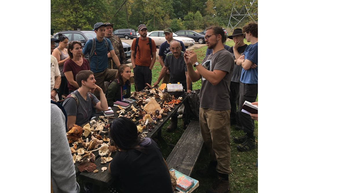 Picture for: Mushroom Hunting 1 (North)