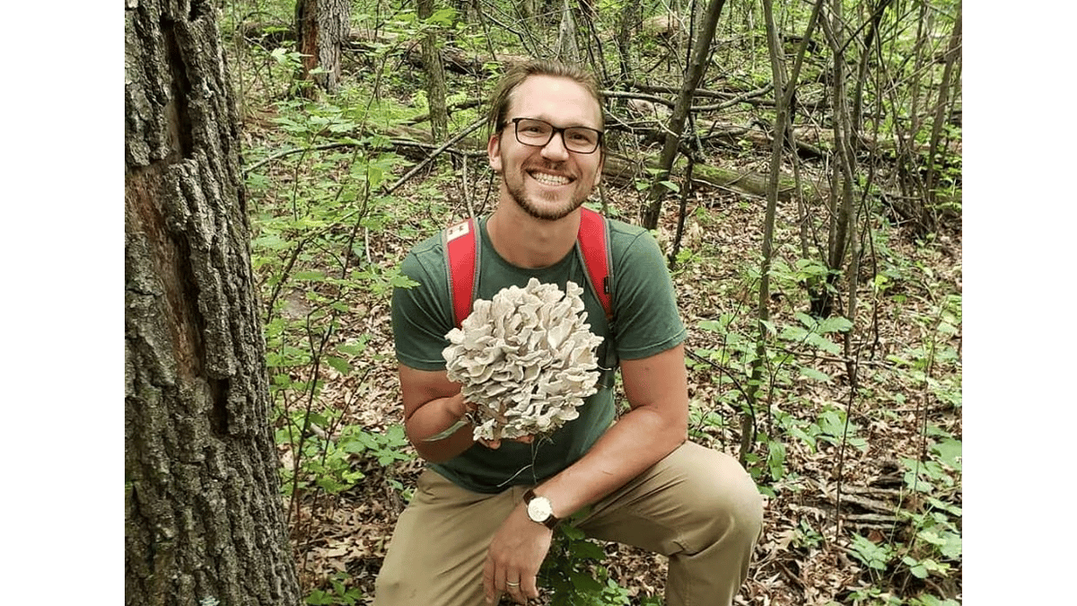 Picture for: Edible Insect Hunting: Japanese Beetles (North)