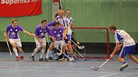 Picture for: Floorball (Northeast)