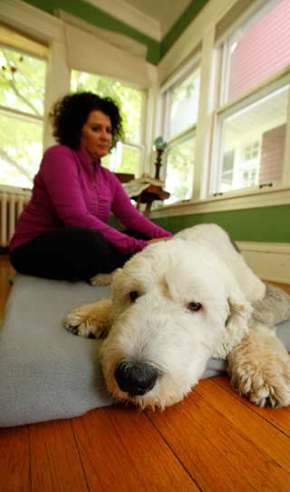 Picture for: Dog Massage (Northeast)