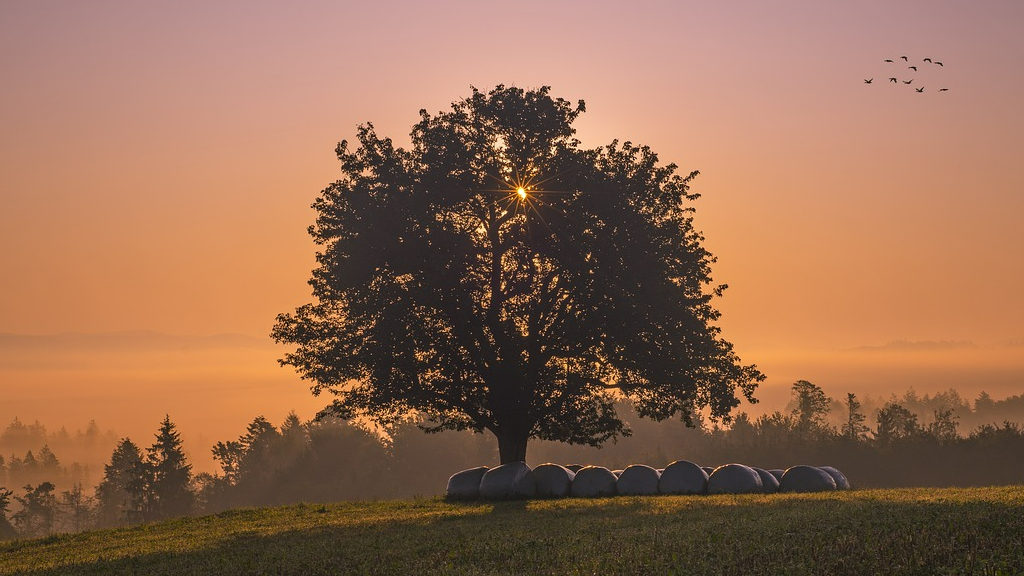 Picture for: Personal Peace & Well Being (Roosevelt)