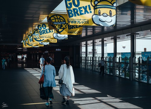 Picture for: Japanese: Culture & Travel Tips (Ella Baker)