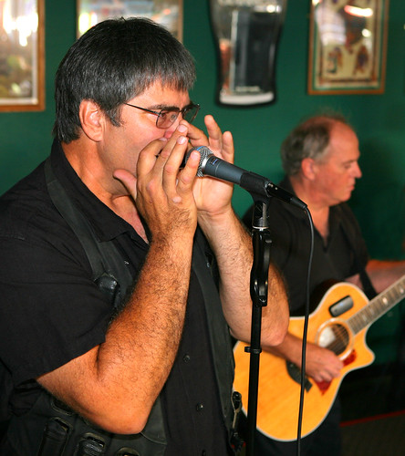 Picture for: Harmonica (Seward)