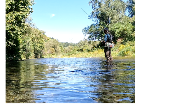 Picture for: Fly Fishing: Intro