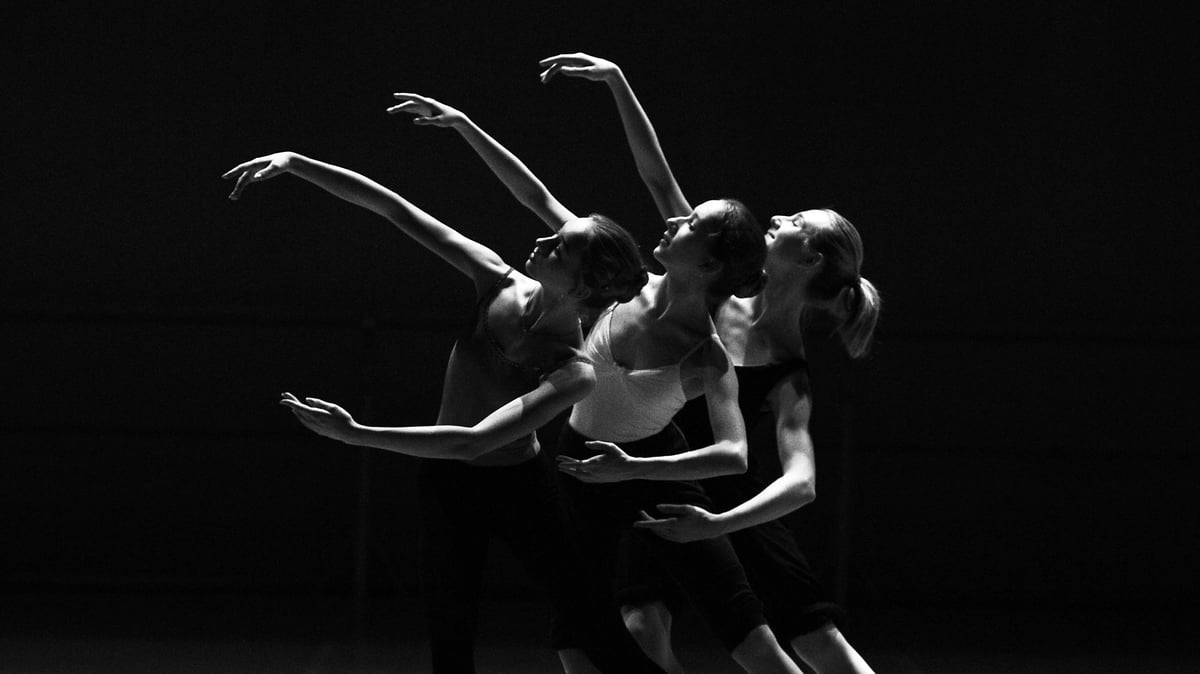 Picture for: Improvisation and Contemporary Dance (South)