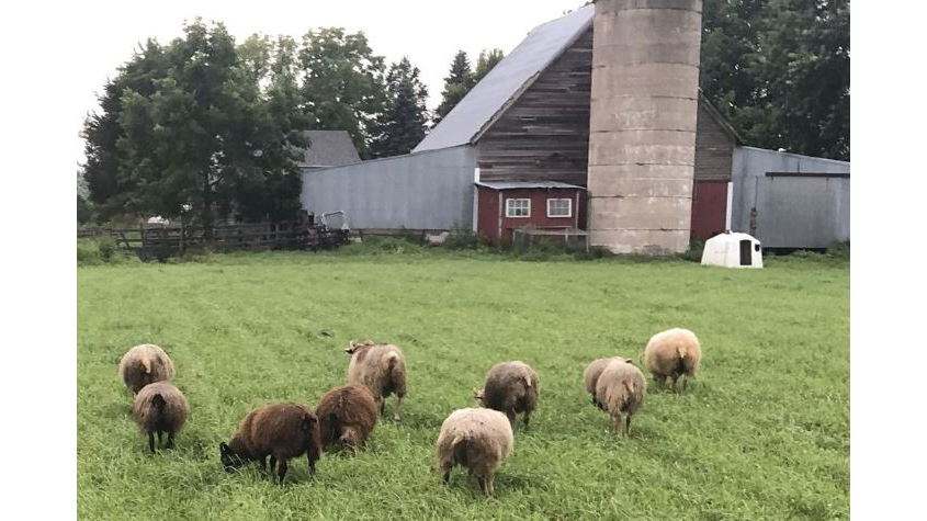 Picture for: Bus Tour: Fiber Arts! Textile Center & Get Bentz Farm / Fiber Processing Mill with Maddy Bartsch & Theresa Bentz (Southwest)