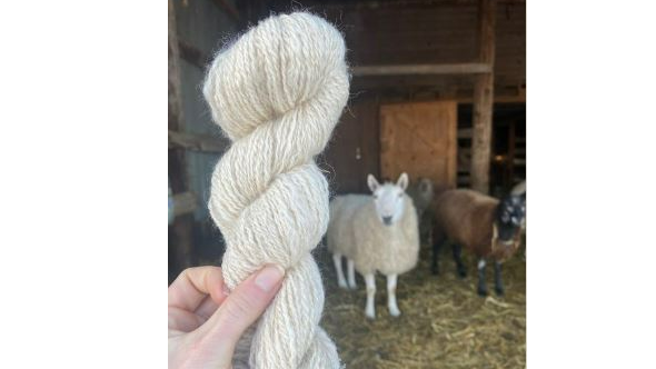 Picture for: Bus Tour: Fiber Arts! Textile Center & Get Bentz Farm / Fiber Processing Mill with Maddy Bartsch & Theresa Bentz (Southwest)