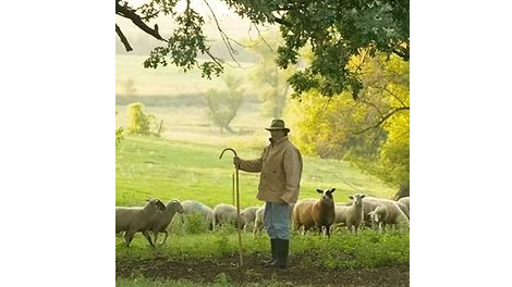 Picture for: Artisan Cheese and Natural Ciders in MN - Guided Tasting Experience with Nationally-Acclaimed Shepherd’s Way Cheesemaker Jodi Ohlsen Read and Cidermaker/Orchardist Nate Watters (Southwest)