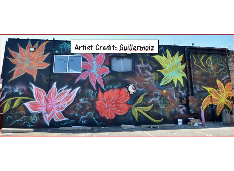 Picture for: CANCELLED: Photographing Street Art:  Walking Tour of the Lyn-Lake Neighborhood w/ Street Art Photographer Thomas Scott