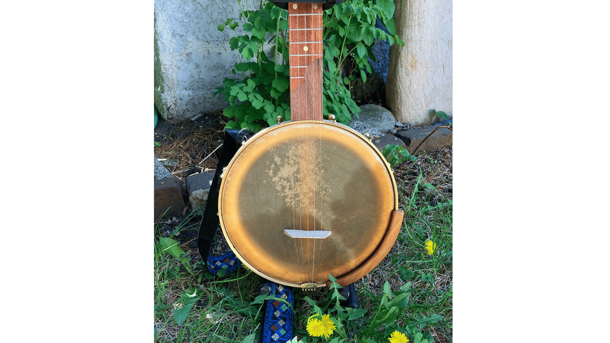 Picture for: Continuing Clawhammer Banjo (Seward)