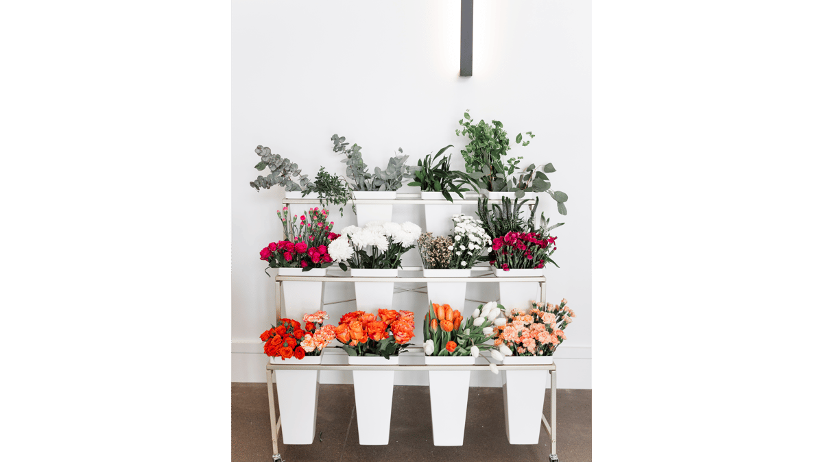 Picture for: Blooms: Spring Blooms Floral Arrangement (Southwest)