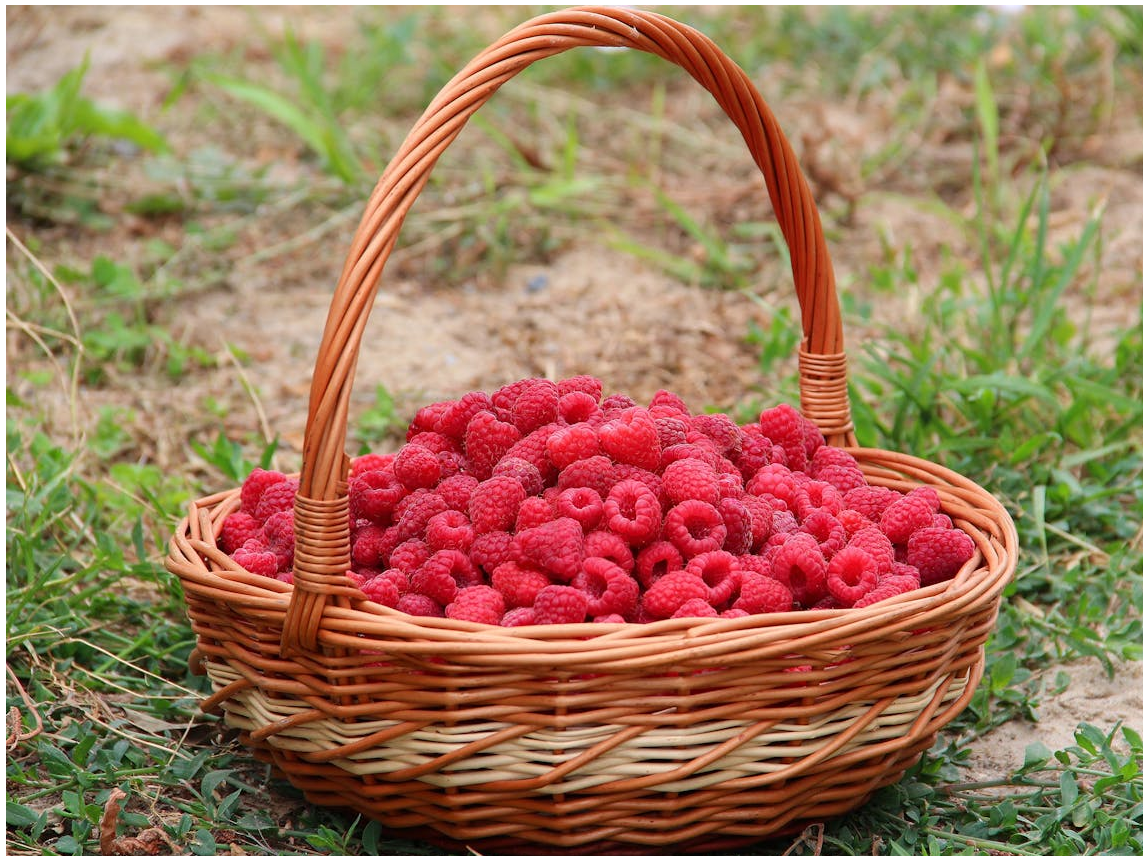 Picture for: Basket Weaving (Camden)