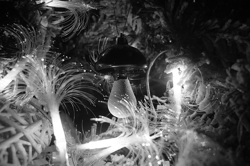 Picture for: Writing: In The Dark (Northeast) ONLINE