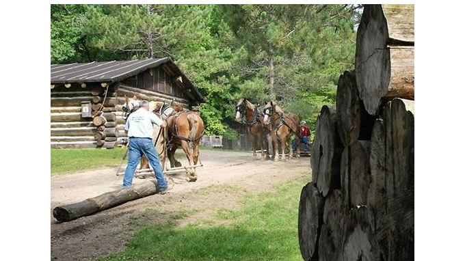 Picture for: Bus Tour: Northern Minnesota Lake Country & Lake Itasca  w/ Historian Dave Bredemus - July 7-10  (Southwest)