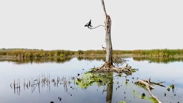 Picture for: Bus Tour: Lake Geneva & Southeast Wisconsin w/ Historian Dave Bredemus - June 2-4 (Southwest)