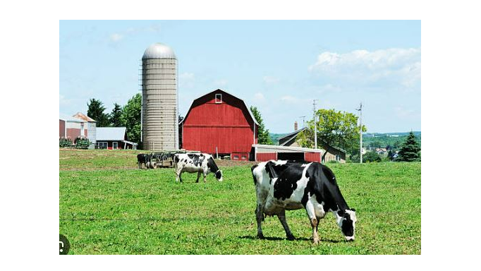 Picture for: Bus Tour: Hometown Favorites - Discovering Western Wisconsin w/ Historian Dave Bredemus - June 24 (Southwest)