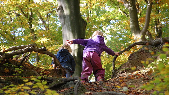 Picture for: Camp Out! (Gr. 1-2)