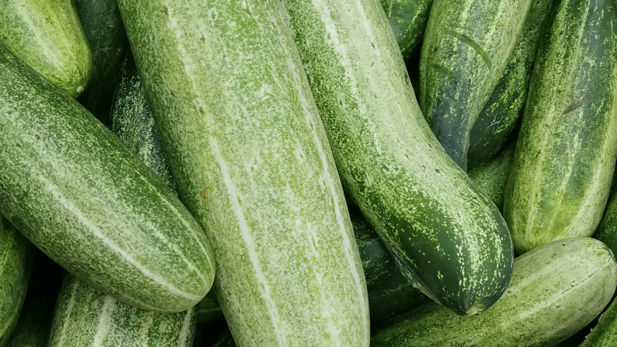Picture for: Cucumbers (Roosevelt)