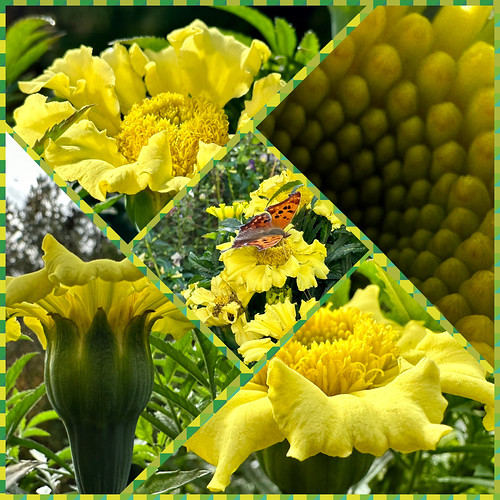 Picture for: Collaging for Self Reflection (Northeast)