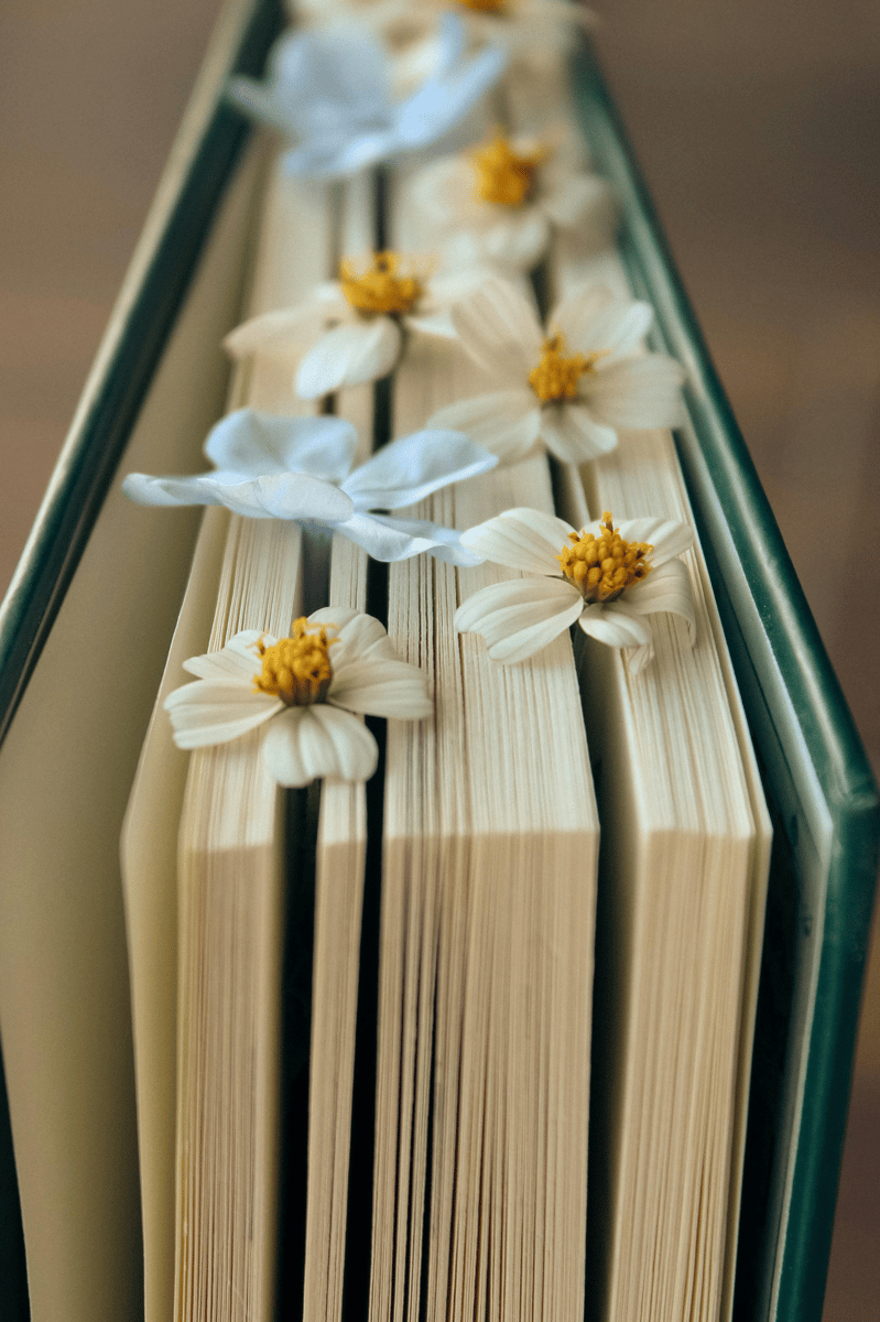 Picture for: Launch into Summer Reading with Collage Bookmarks (Camden)