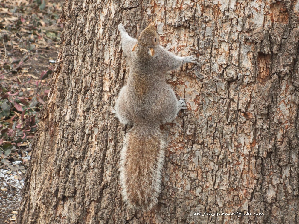 Picture for: Outdoor Adventures (May only) Gr. 1-5 Tu/Th