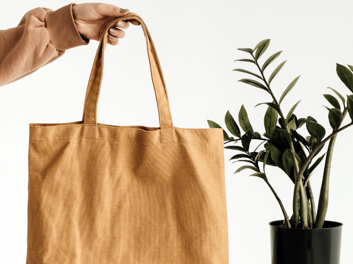 Picture for: ACCESS - Painted Zipper Tote (South)