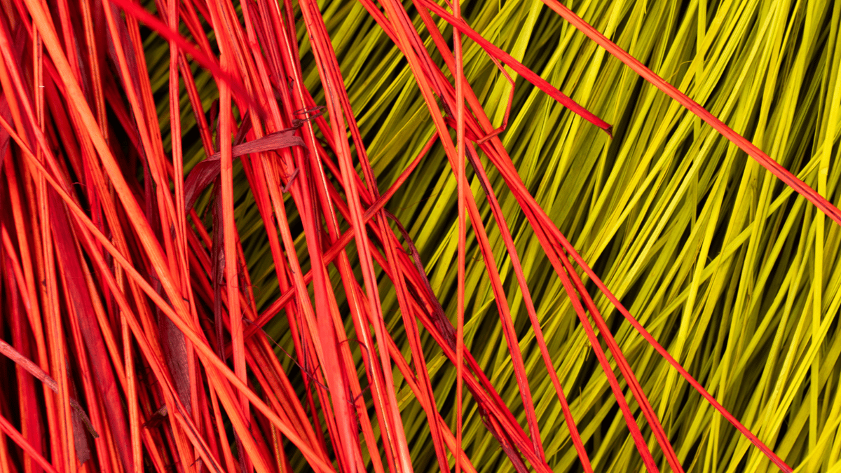 Picture for: Nature Art: Weaving with Natural Materials (Kroening)
