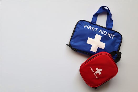Picture for: Basic First Aid for Families (Marcy)