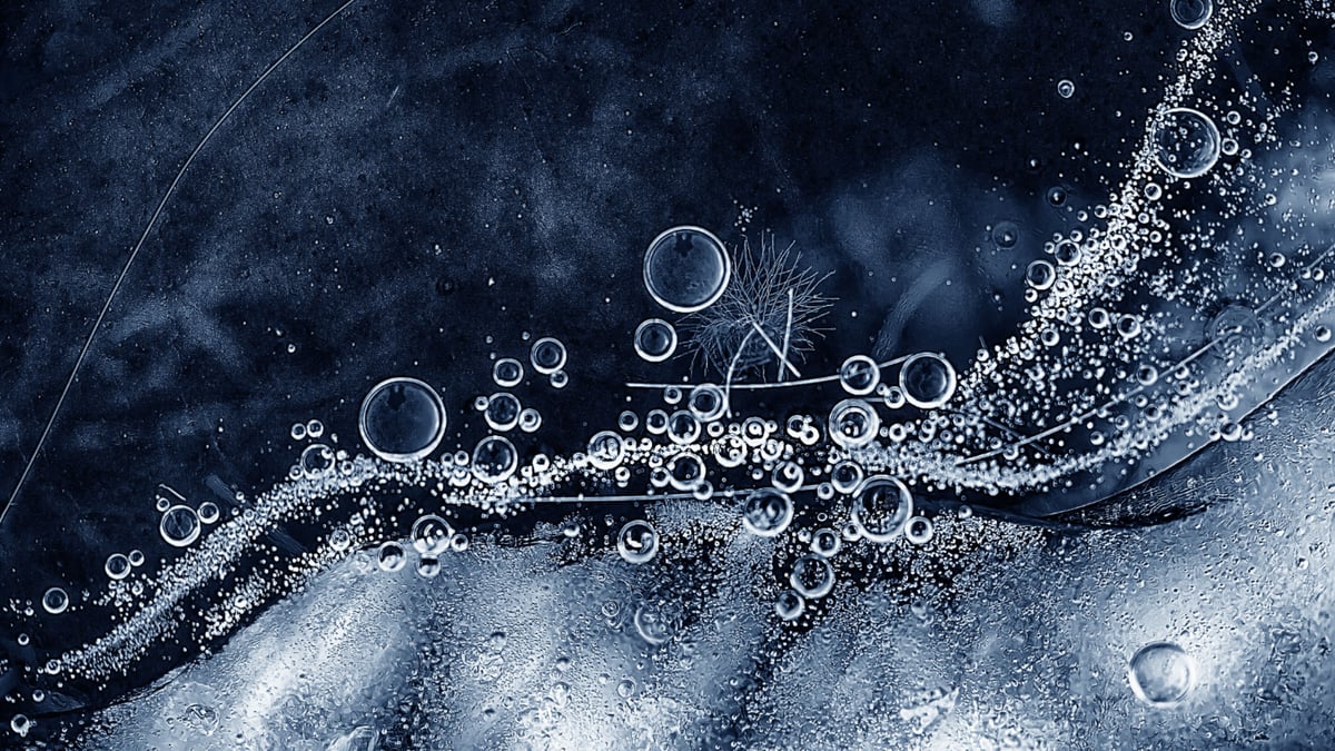 Picture for: Drop-In Nature: Water on the Move (Kroening)