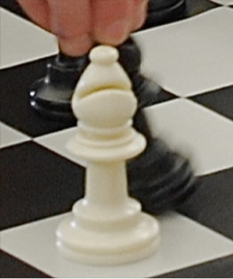 Picture for: July Chess Camp