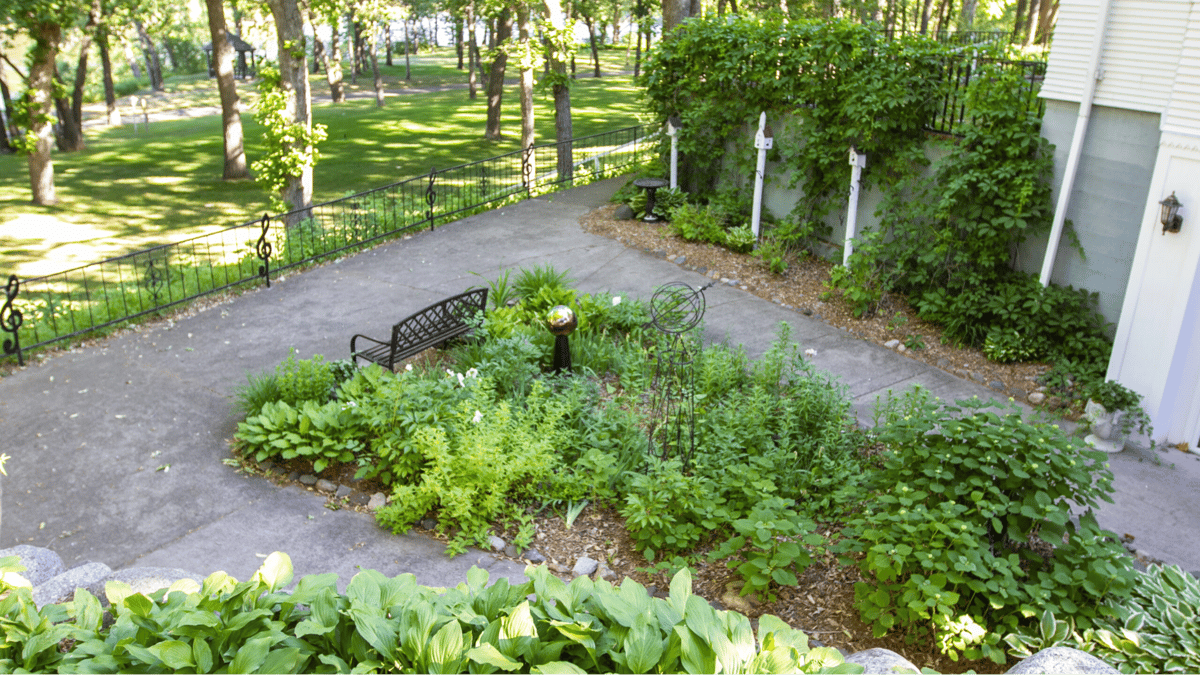 Picture for: Linden Hill Walking Club