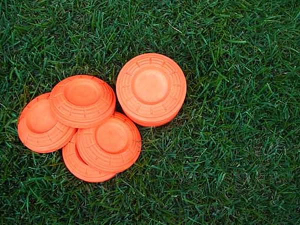 Picture for: Clay Target