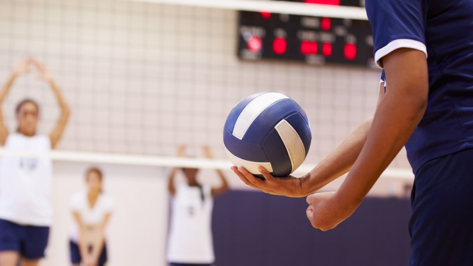 Picture for: Volleyball Skills Clinic