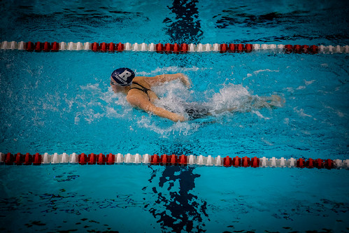 Picture for: Lap Swim Ages 16+