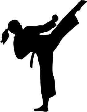 Picture for: Intro to Karate Ages 14+ Interest Waiting List