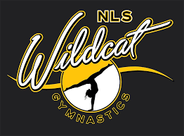 Picture for: Gymnastics