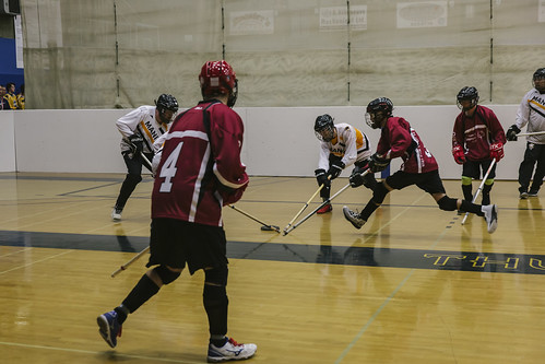 Picture for: Poly Hockey