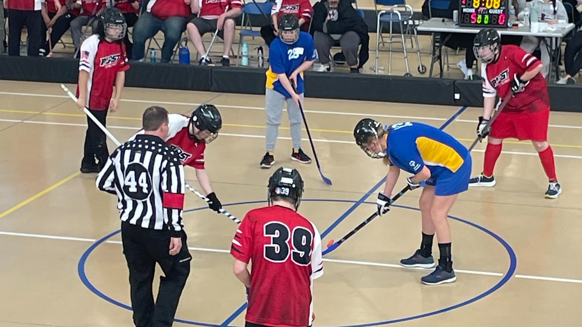 Picture for: Poly Hockey