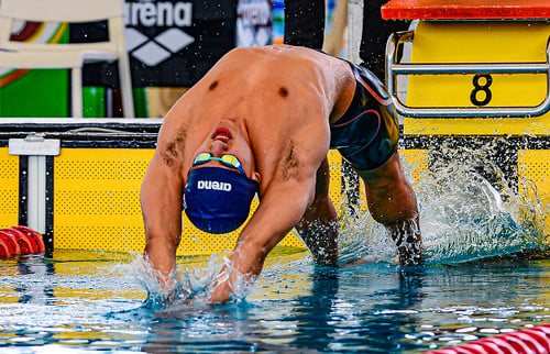 Picture for: Blaze Swim and Dive Camp - Competitive Swimming and Diving GR 5-12