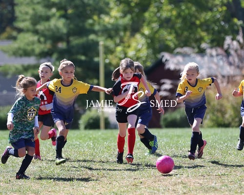 Picture for: Dash Sports Sampler (SC, FF, BS) Tykes Ages 3-5