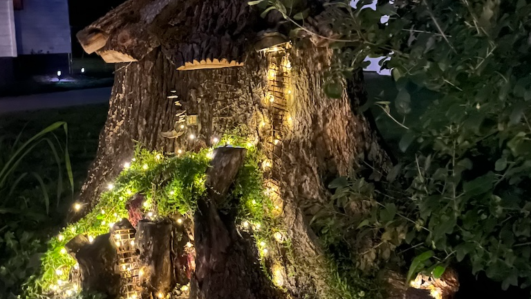 Picture for: Enchanted Fairy Garden