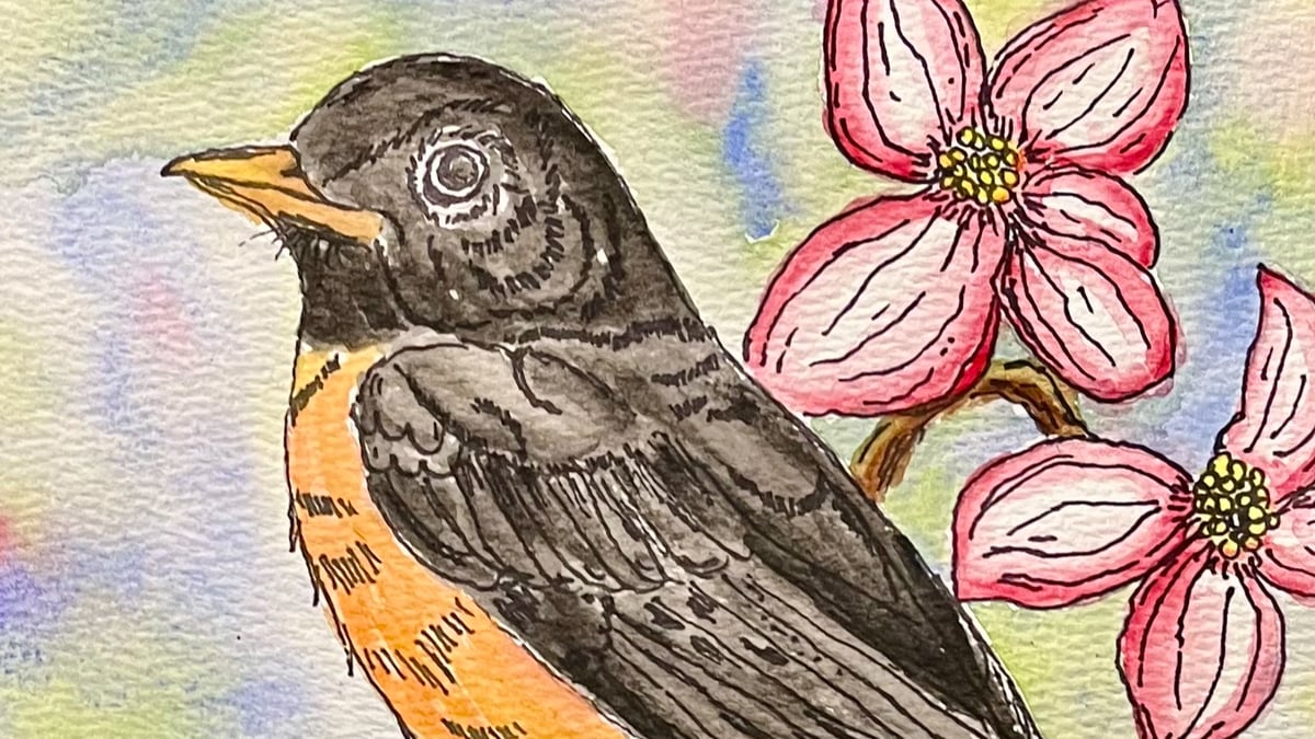 Picture for: The Art of Watercolor – Line and Wash Watercolor: Spring Robin
