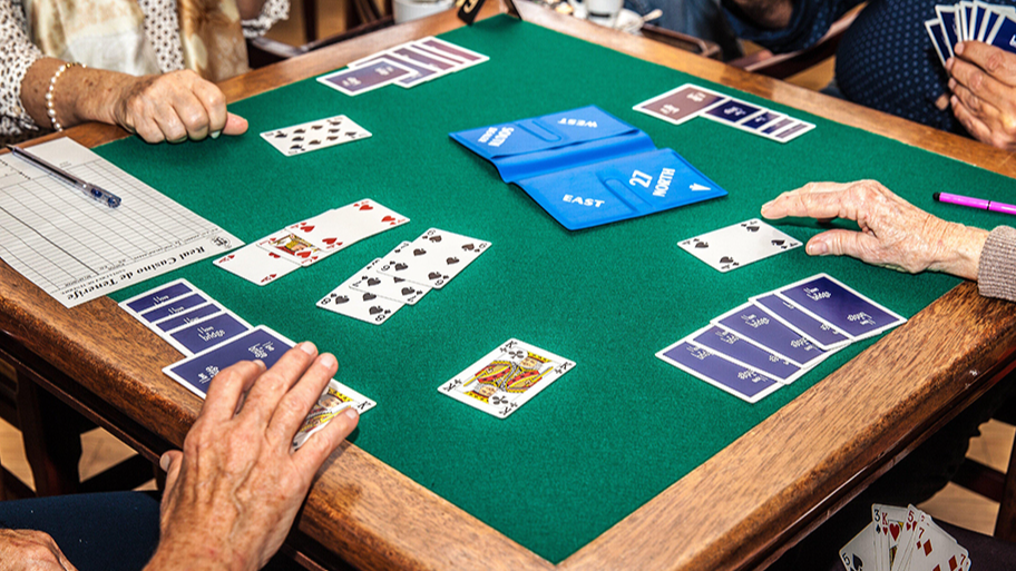 Picture for: Beginning Bridge