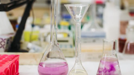 Picture for: Ms. B's Mad Lab