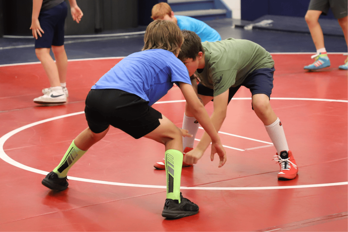 Picture for: Wrestling: Charging Dragon