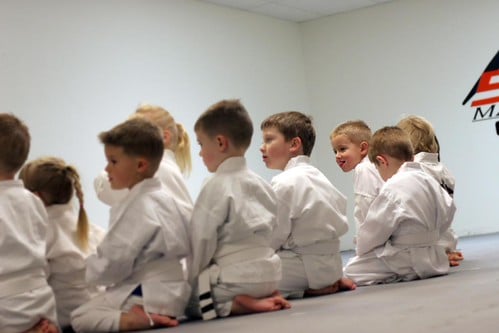 Picture for: Freestyle Martial Arts: Cool Cats (K)