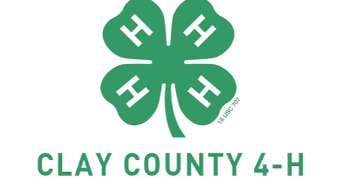 Picture for: 4-H