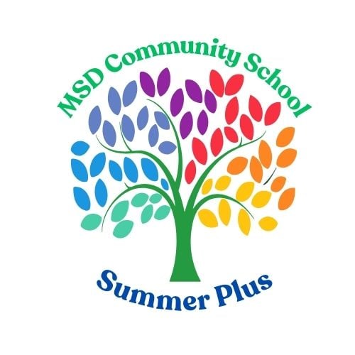 Summer Plus Logo